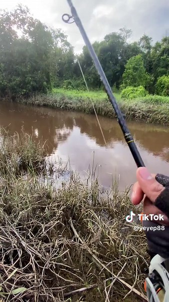 pam selagi boleh😂#fypシ゚viral🖤tiktok #toman #castingfishing🎣 #mantapmen #casting #gorgon #fypシ゚viral🖤tiktok #fyppppppppppppppppppppppp #ayien