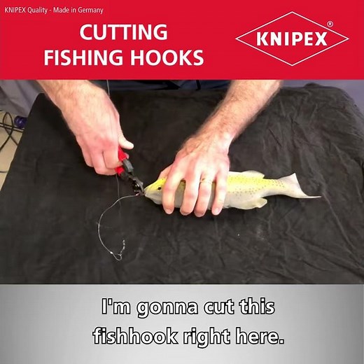KNIPEX Tool Tips - Cutting fishing hooks