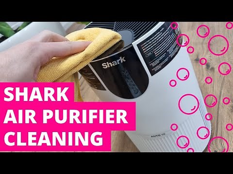 How to Clean Shark Air Purifier (And How Often?)