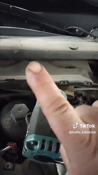 Tarkkana Kallenkoodien Kanssa – Merkkien Tulkinta