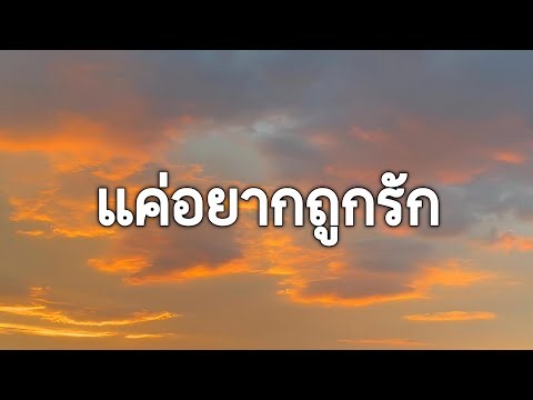 แค่อยากถูกรัก - Apo (เนื้อเพลง)