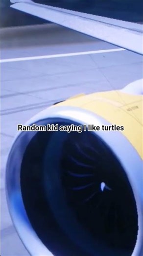 a320 neo takeoff with whale sound