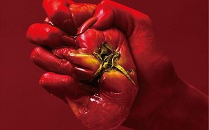 [不死者之王]主题曲《VORACITY》mv 自制中文字幕