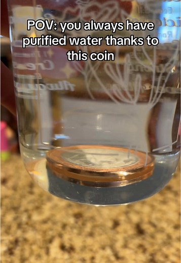 It’s really this easy #water #purify #cleanwater #watertok