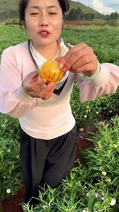 Fresh and flavorful 😋 | Fruit Farm