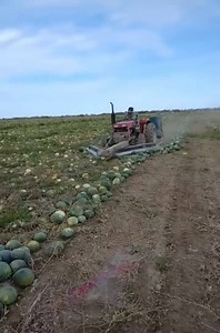 看一看外国的农业科技… 再看一看马来西亚… 你又有什么感想呢？ | Bio Soil-Man 土壤英雄