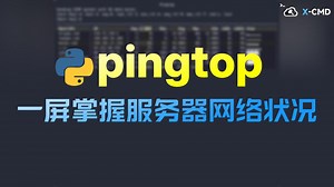 📥 pingtop - 监控服务器状态，精准捕捉网络故障，告别传统 ping 命令！
