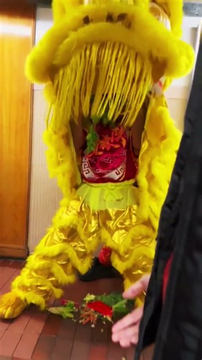 Dragon dance (simplified Chinese: 舞龙; traditional Chinese: 舞龍) is a traditional Chinese performance