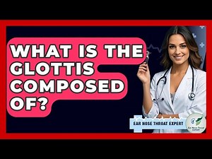 What Is The Glottis Composed Of? - Ear Nose Throat Expert