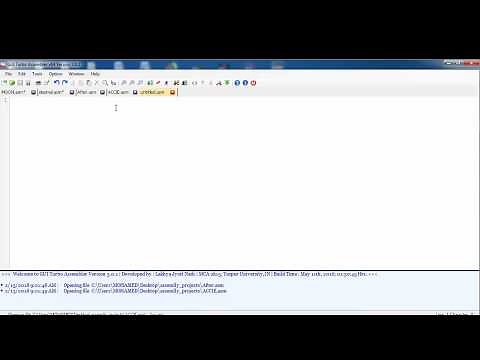 Assembly Programming Language : Build & Run your first Program
