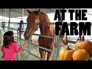 Petting ZOO at the Farm Feeding Horses and Goats | Learn Animal Names for Kids