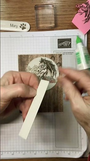 Stampin Up//Country Woods DSP//Unbridled Beauty//Online Exclusive//Sneak Peek//#Shorts//For a Friend