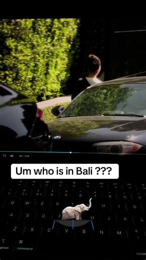 Aoki Lee Simmons: Mystery in Bali Unveiled