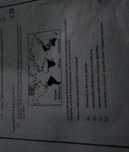 Shrubs of the family Proteaceae (for example, Waratahs and prot... | Filo