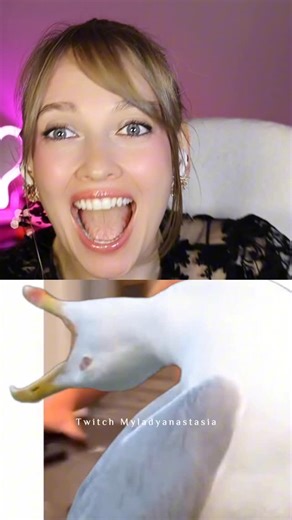 Ana on Instagram: "Lmao #reaction #meme #comedy #joke #prank"