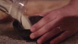 User manual Vitamix S30 (English - 32 pages)