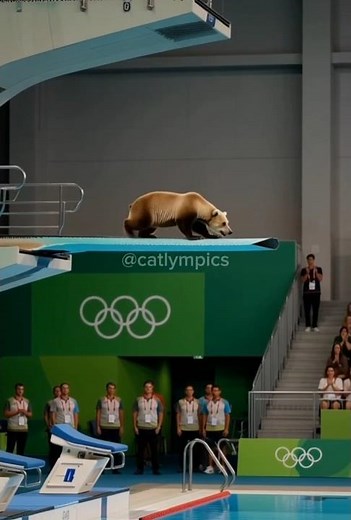 Bear vs Pug vs Cat — Olympic Showdown! 🏅🐾