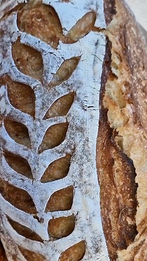 Kovászos fehér kenyér recept a kommenteknél. 🙂❤️ #kovász #kovászoskenyér #fehérkenyér #kenyérrecept #sourdough | Gábor a Házi Pék Hivatalos