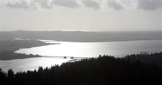 Oregon Sees One of Nation’s Largest Drops in Obamacare Marketplace Enrollment