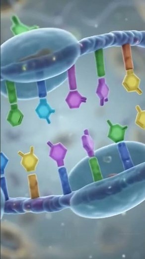 What is DNA Replication? #educational #dnasequencing #dna#biology #neet