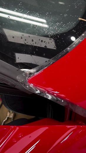 Wrap & PPF on TikTok