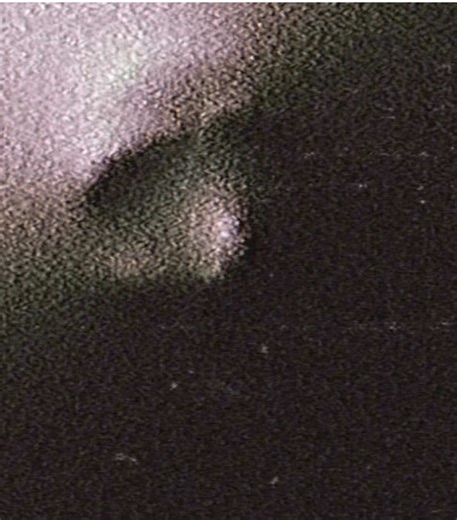 Emergency Alert: Strange Noises Inside Your Walls