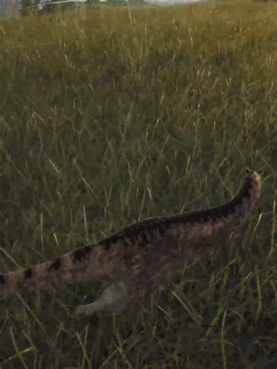 Tyrannosaurus and Carnotaurus: A Hungry Encounter