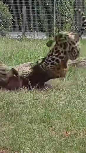 9K views · 39 reactions | Amazing beautiful nature on Reels | Facebook