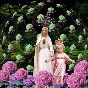 Hail Mary full of Grace, the Lord is with thee. Blessed are thou among women and blessed is the fruit of thy womb Jesus. Holy Mary Mother of God, pray for us sinners now and at the hour of our death Amen | Hail Mary Full of Grace