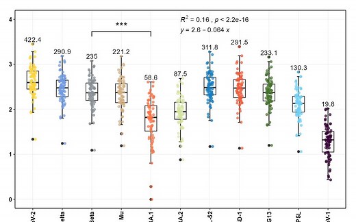 ggplot2绘制箱线图的完美小案例