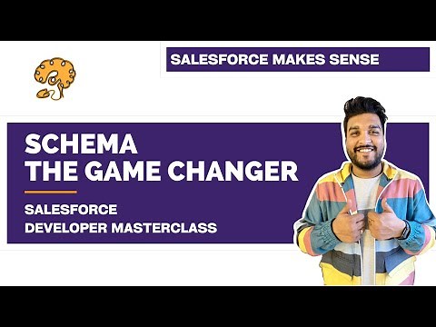 Schema - The Game Changer | Chapter 10 | Salesforce Architecture | Salesforce Developer Masterclass