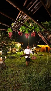 2.1M views · 53K reactions | Welcome the Spring Festival with steamed fish with glass noodles | About Cooking Tv | Facebook