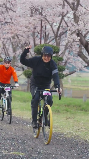 【丹波サイクルデイズ2026】Day1（ショート編）丹波の桜が満開です！ #パナレーサー #cycling #桜満開 #bikelife