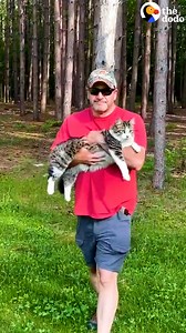 17M views · 177K reactions | Woman gets a cat for herself since her husband's a "dog person" — and the cat insists the husband carries him everywhere he goes  | Soulmates | Facebook