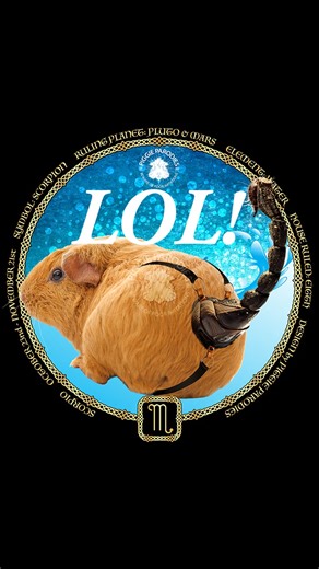 2.5K views · 30 reactions | The Piggie Parodies Zodiac signs... including the v1 Scorpio haha! | Piggie Parodies | Facebook