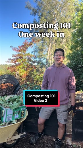 Composting 101: Building a Hot Compost Pile Fast