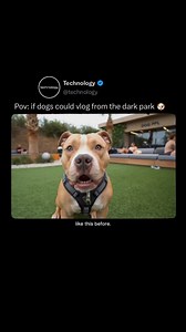This AI model imagines what it would be like if dogs could vlog their adventures at the dog park. Showing the world from their playful point of view - full of wagging tails, curious sniffing, and unexpected zoomies. It’s a fun and heartwarming glimpse into a dog’s daily life. Via: @liamunderwood @dogppl #dogs #animals #ai #gfx #technology | Technology IG