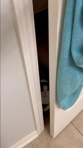 So close Charlie Bear🤣💁🏻‍♀️ #cats #wobblycat #charliebear #funnycats