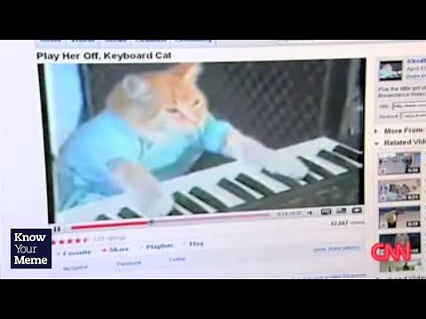 Know Your Meme: Keyboard Cat