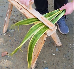 From Trash To Trendy! She Made Summer Shoes Using Natural Items | Wood Mood