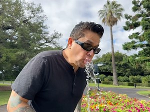 22K views · 257 reactions | NOFX on Reels | Facebook