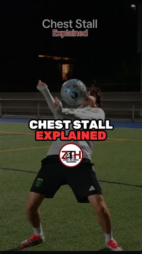 Haris Hussaini on Instagram: "Chest Stall Explained"