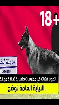Filming women in deviant sexual acts with dogs!.. Public Prosecution clarifies