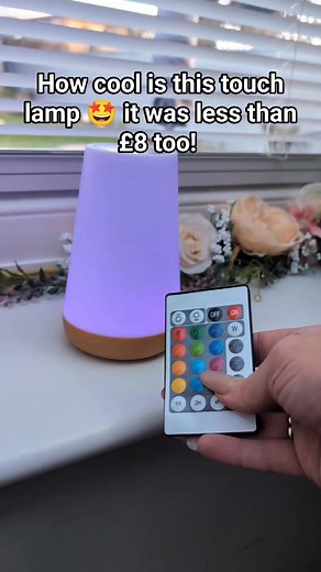 How cool is this touch lamp? Less than £8 too 🤩 I'm trying to not gonk it up 🤣 #tiktokmademebuyit #touchlamp #tiktokfinds #nightlights | The Gonk Factory