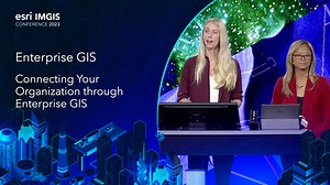 Enterprise GIS