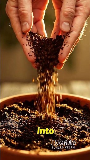 Coffee Grounds = Healthier Plants? See the Results! ☕🌿💚