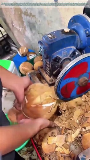 Shell Shocking Efficiency: How Machines Revolutionize Coconut Processing
