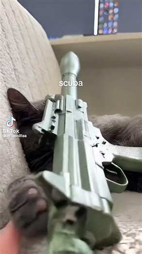 Cat in da hood
