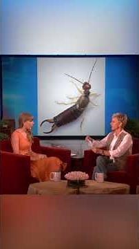 Taylor Swift Talks About Her New Fear