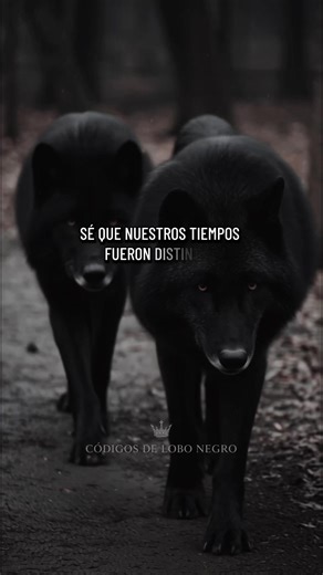 A veces los padres no hablan desde la perfección, hablan desde las caídas que tú aún no has vivido. Escucha antes de ignorar. — Bladi Guillén 📖 Los 100 Códigos del Lobo Negro Disponible en mi web oficial. . . . #padres #consejos #sabiduria #valores #lobonegro